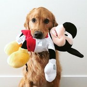 google avatar