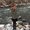 Photo of Erin C.