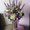Photo of AZ Flower W.