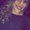 Photo of Nichele N.