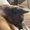 Photo of Nilsia C.
