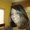 Photo of Michelle C.
