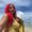 Photo of Rubi S.