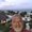 Photo of Thom K.