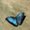 Photo of Electa B.