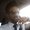 Photo of Hamed A.