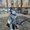 Photo of Karina A.