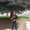 Photo of Jordyn D.