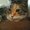 Photo of Doreen M.