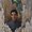 Photo of Himanshu S.