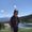 Photo of Burgundy H.