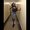 Photo of Ashley D.