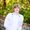 Photo of Riley G.
