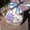 Photo of Shirnetha B.