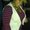 Photo of Laura L.