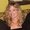 Photo of Tara C.