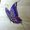Photo of Fae O.