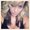 Photo of Jen F.