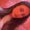 Photo of Vivana J.