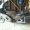 Photo of Grant C.