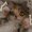 Photo of Prowl H.