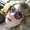 Photo of Valerie V.