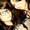 Photo of Yanel M.