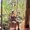 Photo of Thembi S.
