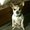Photo of Shanah M.