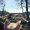 Photo of Mika S.