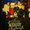 Photo of Liz M.