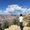 Photo of Gagandeep A.