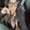 Photo of Vanessa M.