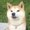 Photo of Yubo Q.