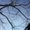 Photo of Shapes L.