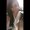 Photo of Swathi P.