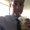 Photo of Justin T.