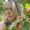Photo of Tabitha L.