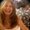 Photo of Donna L.