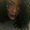 Photo of Briana S.