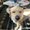 Photo of Kenzi T.