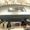 Photo of Allen W.