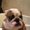 Photo of Sammy J.