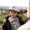 Photo of Mishell G.