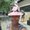 Photo of Andrea J.