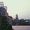 Photo of Ivori M.