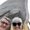 Photo of Dawna R.