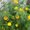 Photo of M P.