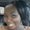 Photo of Marquita S.