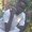 Photo of Akolda A.